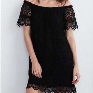 Velvet by Graham & Spencer Gustina Dress